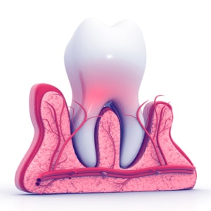 dental image roots