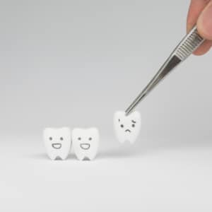 teeth
