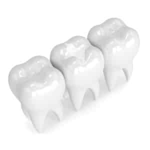 Teeth